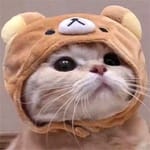 Miguel Hernández avatar