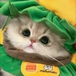 Gabriela Ruiz avatar