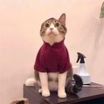 Esteban Martínez avatar